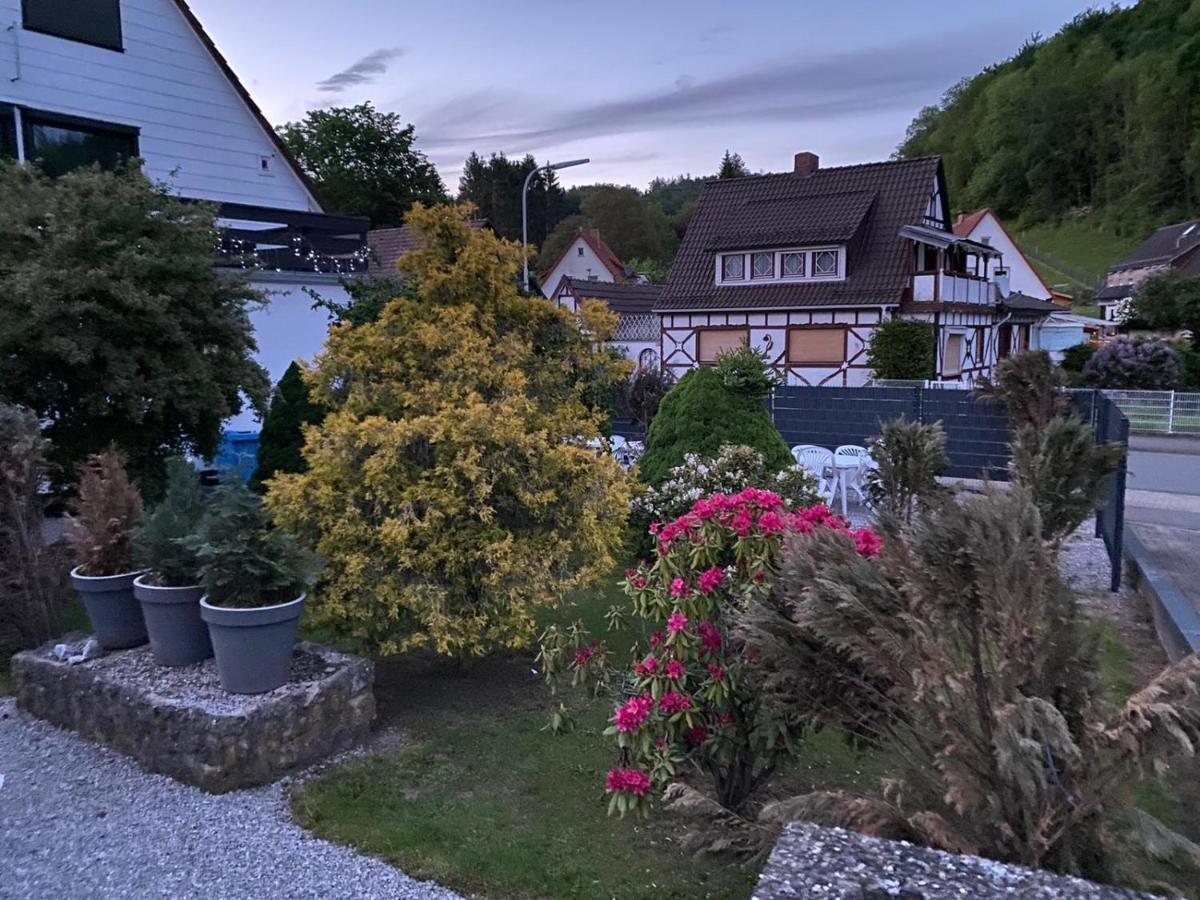 Ferienhaus Harz Bad Sachsa Dış mekan fotoğraf